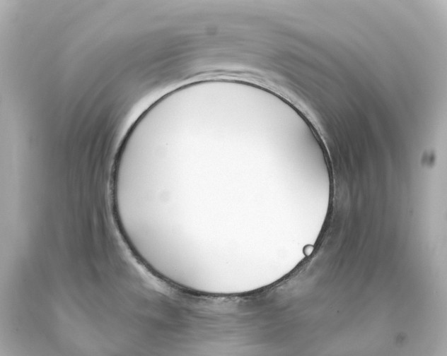 X0000093091533200710241150