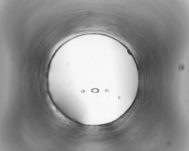 X0000093091534200710241150
