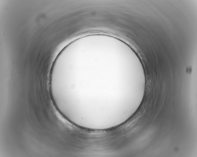 X0000093091535200710241150