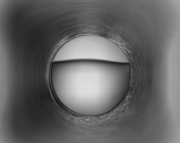 X0000093100003200709260936