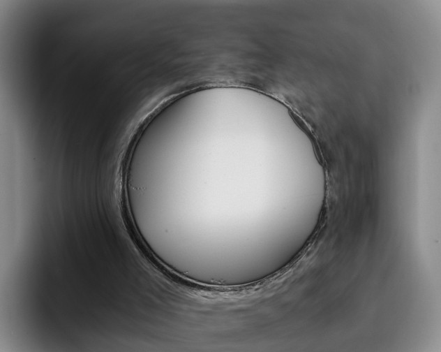 X0000093100005200709260936