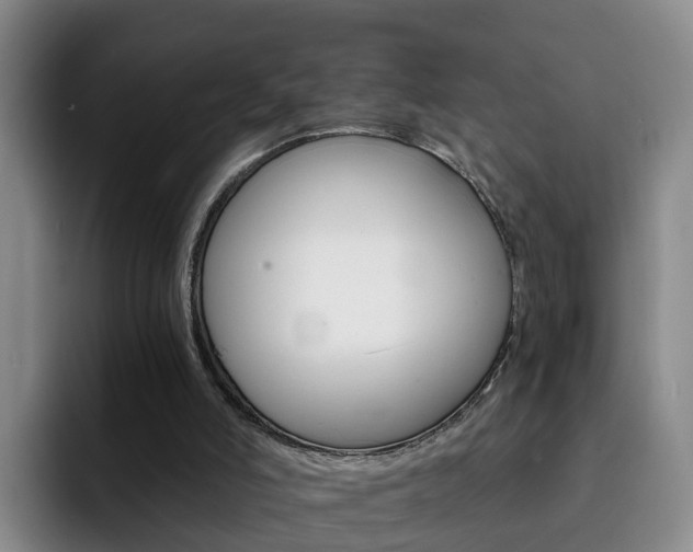 X0000093100006200709260936
