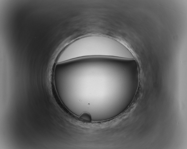X0000093100007200709260936