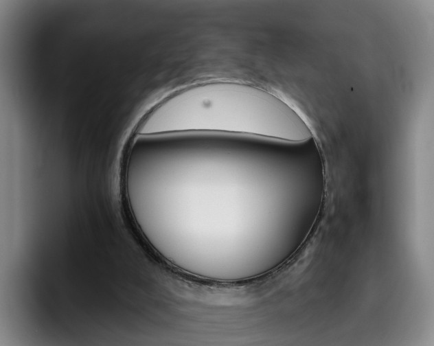 X0000093100008200709260936