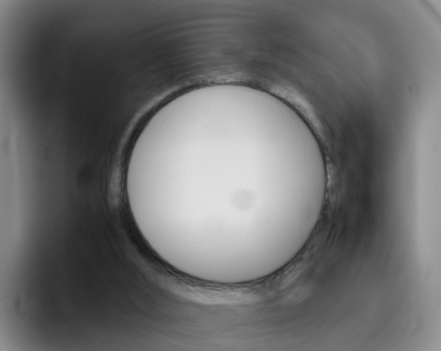 X0000093100012200709260936