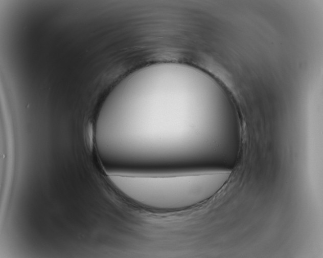 X0000093100013200709260936