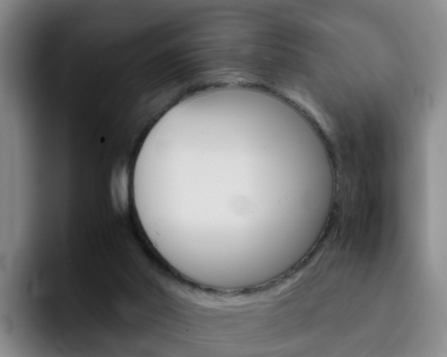 X0000093100014200709260936