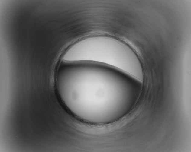 X0000093100015200709260936