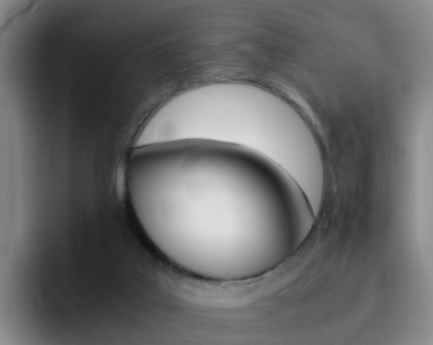 X0000093100019200709260936