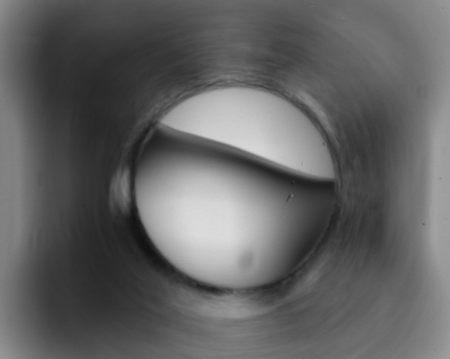 X0000093100020200709260936