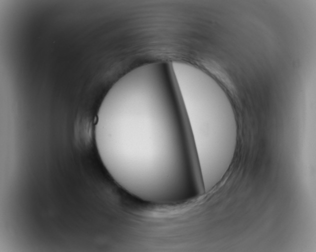 X0000093100021200709260936