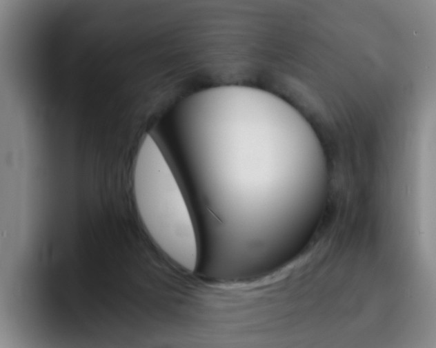 X0000093100025200709260936