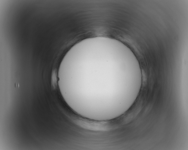 X0000093100028200709260936