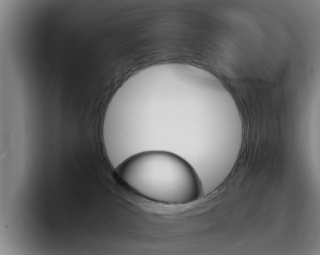 X0000093100039200709260935