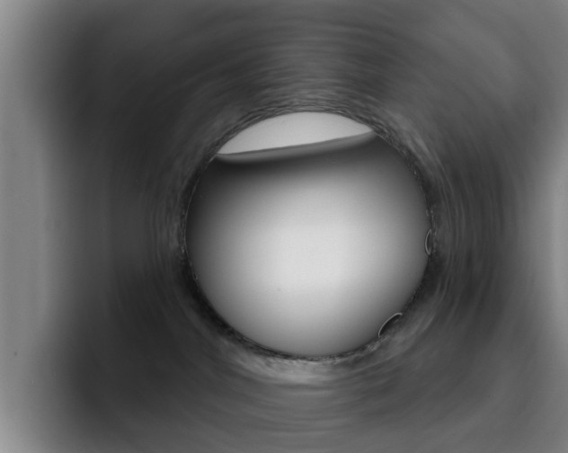 X0000093100044200709260935