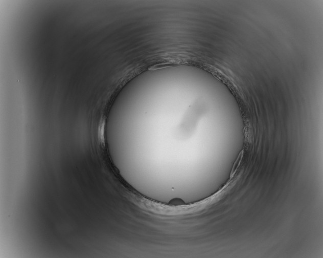 X0000093100047200709260935