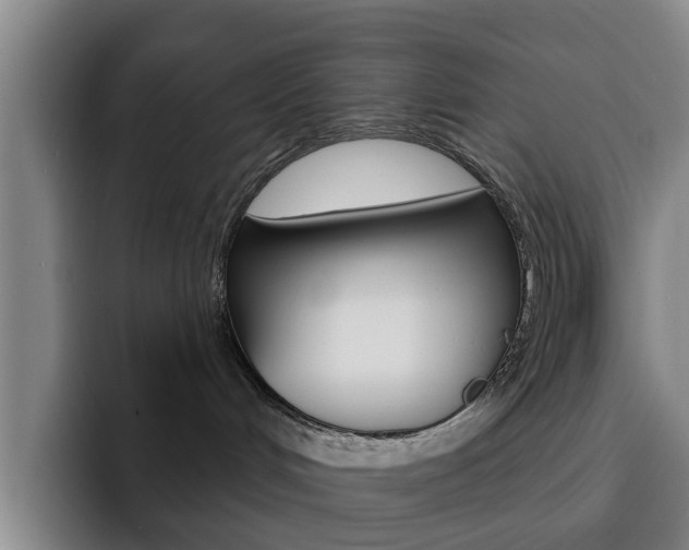 X0000093100048200709260935