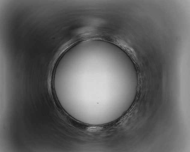 X0000093100051200709260935