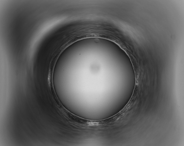 X0000093100052200709260935