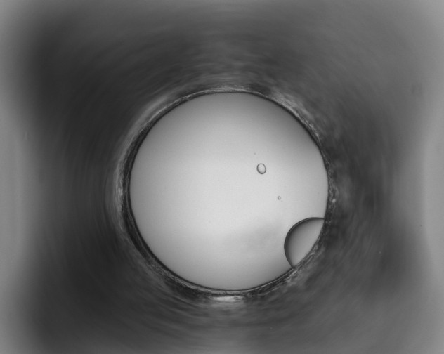 X0000093100053200709260935