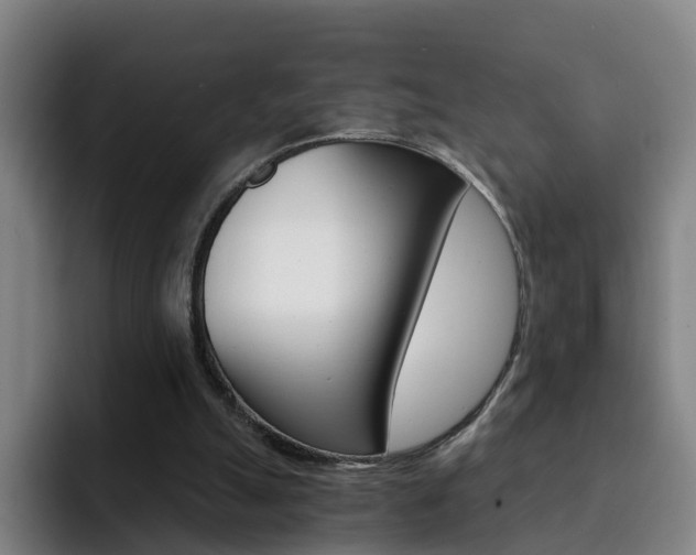 X0000093100055200709260935