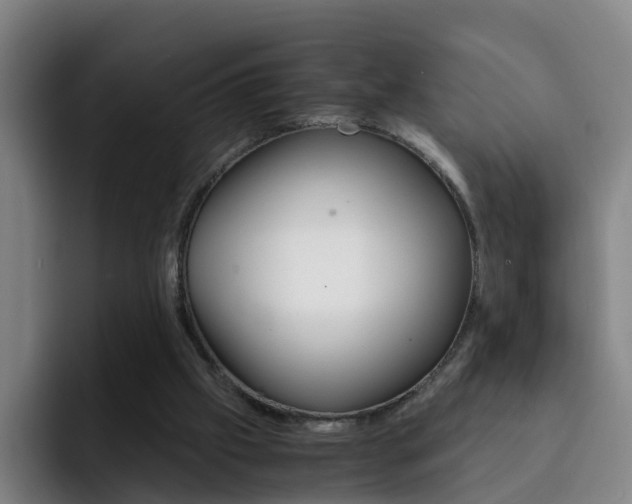 X0000093100057200709260935