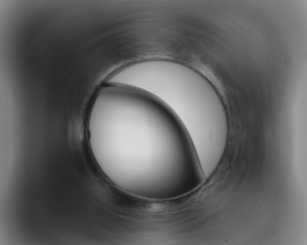 X0000093100060200709260935