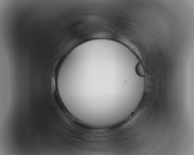 X0000093100061200709260935