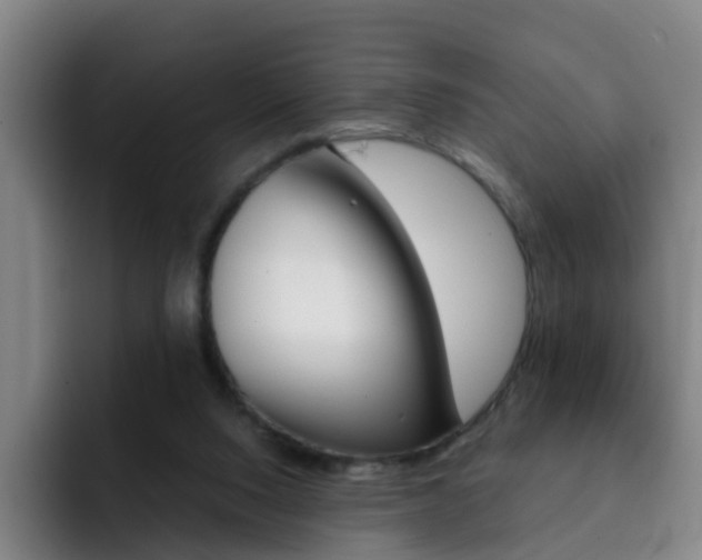 X0000093100064200709260935