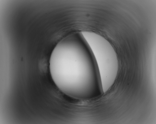 X0000093100080200709260935