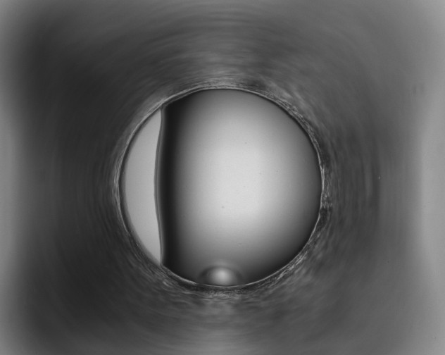 X0000093100099200709260935