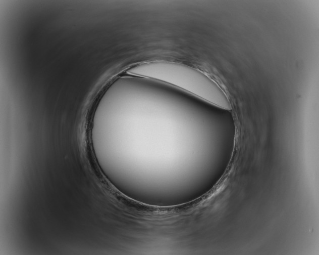 X0000093100101200709260935