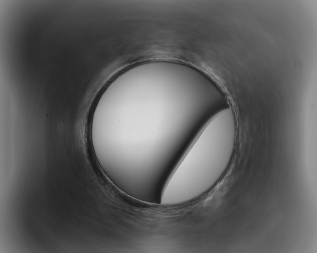 X0000093100103200709260935