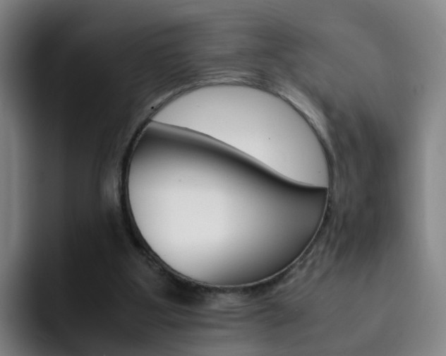 X0000093100107200709260935
