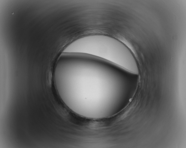 X0000093100109200709260935