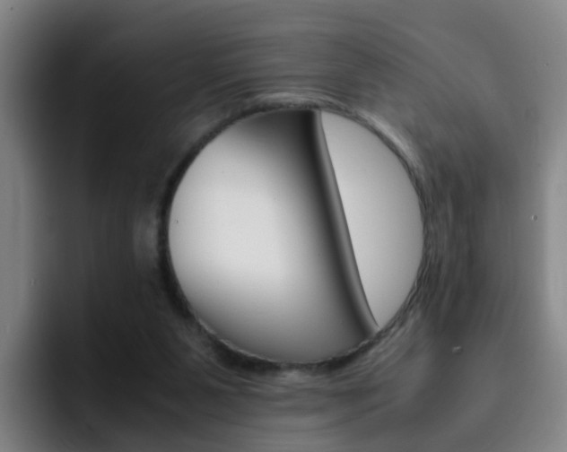 X0000093100111200709260935