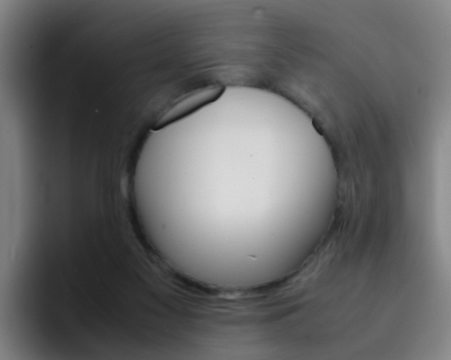X0000093100117200709260934
