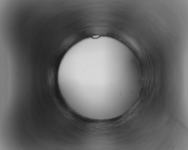 X0000093100120200709260934