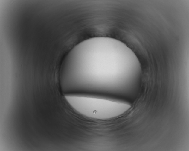 X0000093100131200709260934