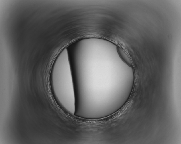 X0000093100145200709260933