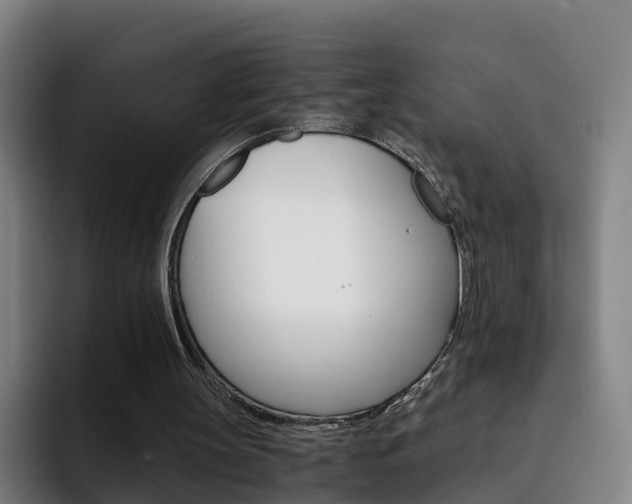 X0000093100147200709260933