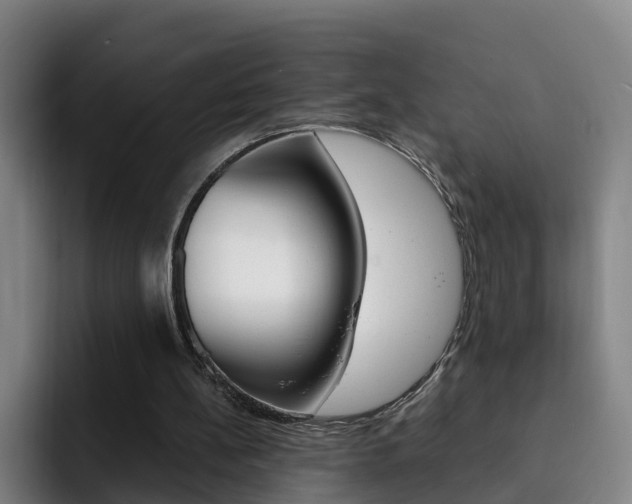 X0000093100148200709260933