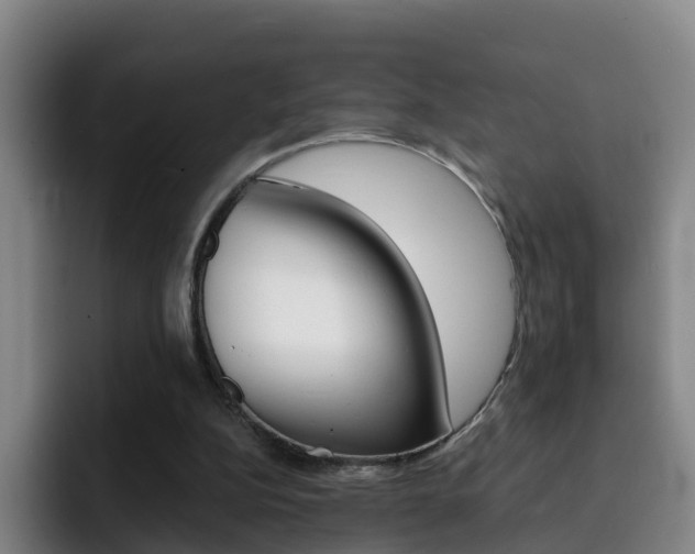 X0000093100152200709260934