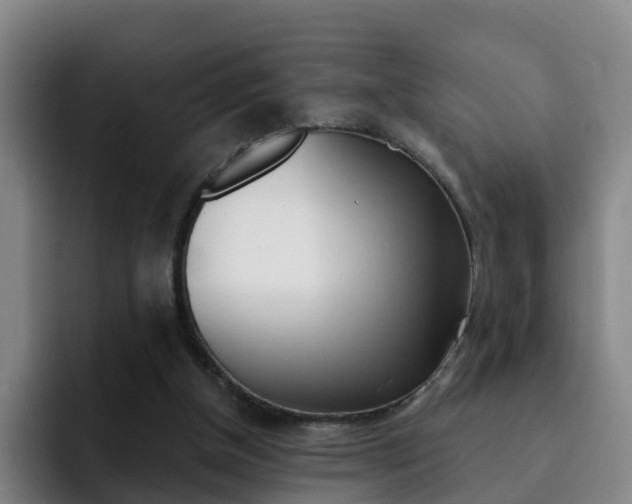 X0000093100154200709260934