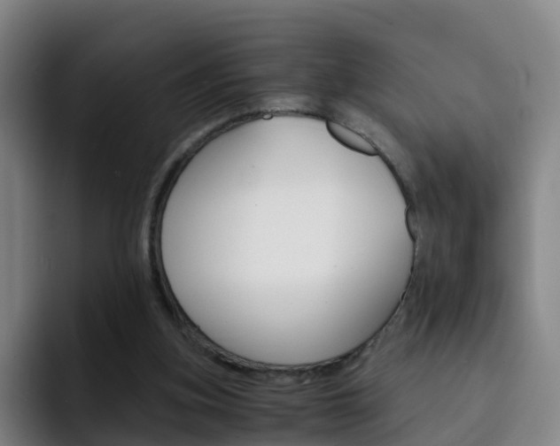 X0000093100155200709260934