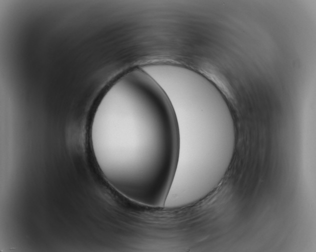 X0000093100156200709260934