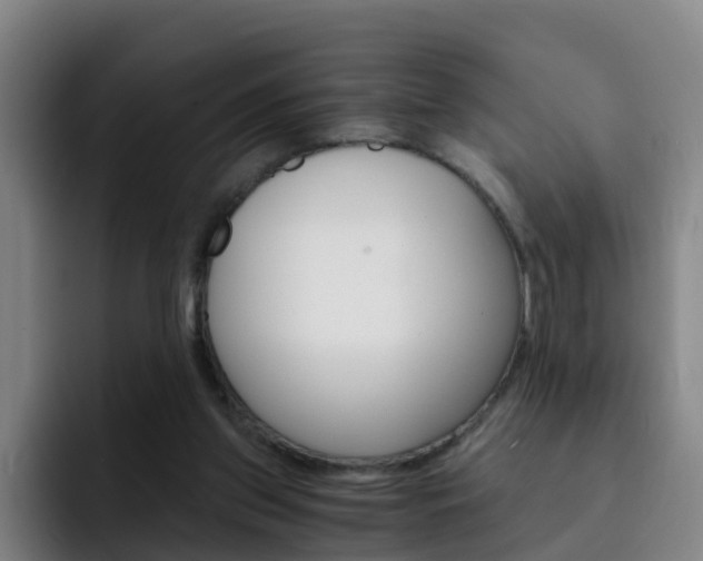 X0000093100157200709260934