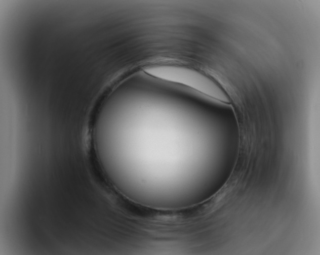 X0000093100160200709260934