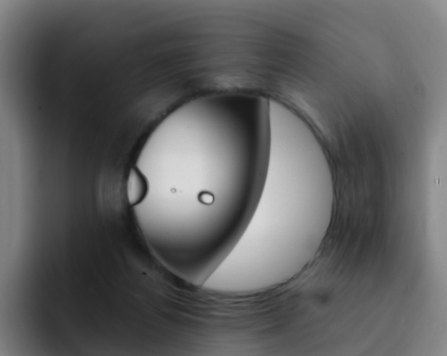 X0000093100164200709260934