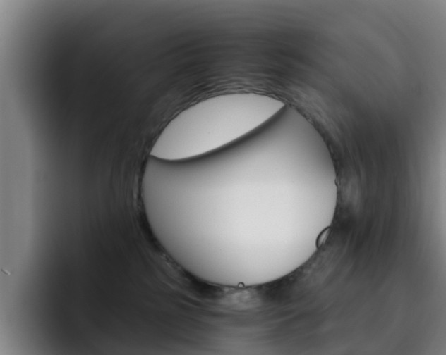 X0000093100185200709260934